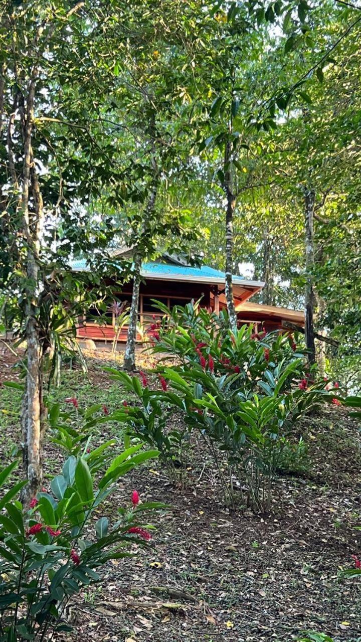Akwaba Lodge The Gap Kamer foto